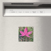 Rood leder magneet (Insitu (Vaatwasser))