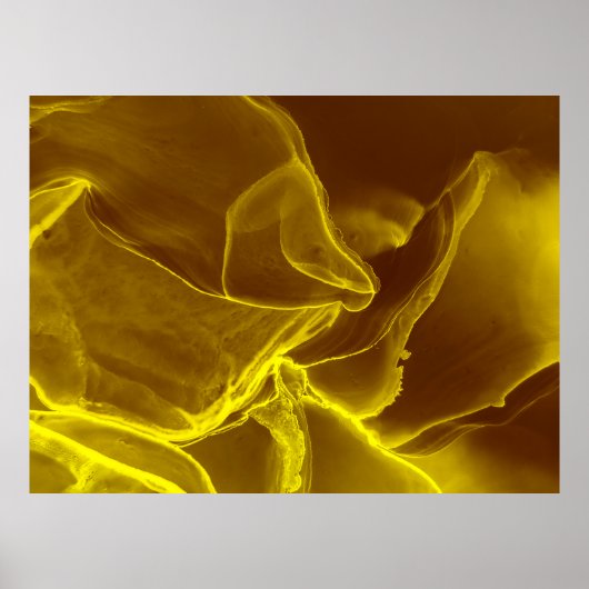 Rood leder, textuur poster (Voorkant)