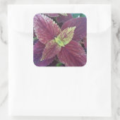 Rood lef Plant Grote vierkant stickers (Tas)