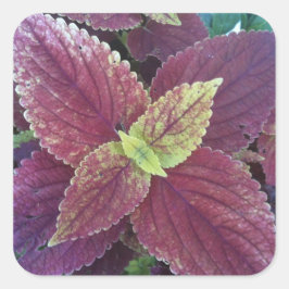 Rood lef Plant Grote vierkant stickers