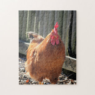 Rood Legpuzzel
