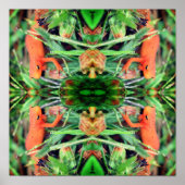 Rood Links Sinaasappel Salamander Spiegel Abstract Poster (Voorkant)