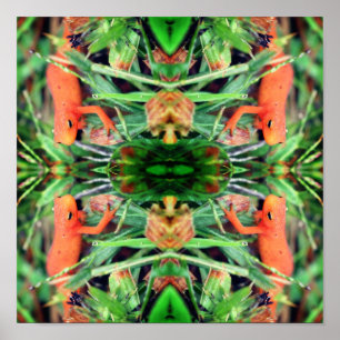 Rood Links Sinaasappel Salamander Spiegel Abstract Poster