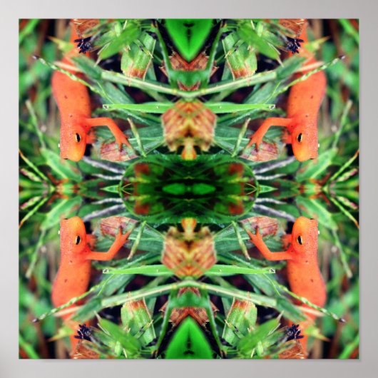 Rood Links Sinaasappel Salamander Spiegel Abstract Poster (Voorkant)