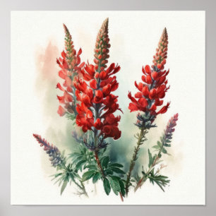 Rood Lupine Bloem Art Print Poster
