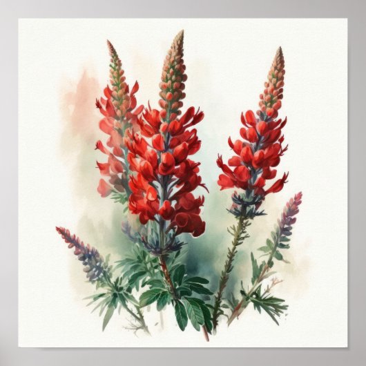 Rood Lupine Bloem Art Print Poster (Voorkant)