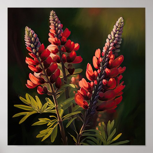 Rood Lupine Bloem Art Print Poster (Voorkant)