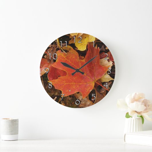 Rood-maanblaasmechanisme Grote Klok (Huis)