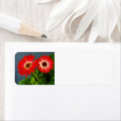 Rood madeliefje etiket (Insitu)