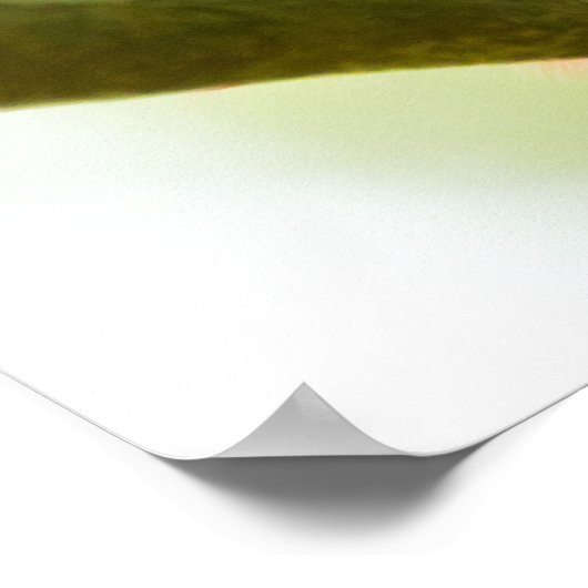 Rood-manomer zomertanager die Poster van de driepi (Hoek)