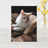 Rood met de witte Wasbeer van Maine in de zon Kaart (Gele Bloem)