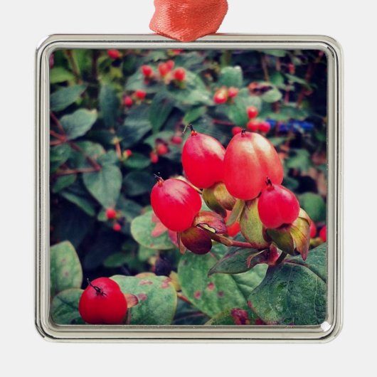 Rood Metalen Ornament (Voorkant)