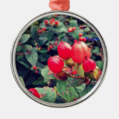 Rood Metalen Ornament (Voorkant)