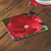 Rood moeras Hibiscus Bloom Floral Bier Onderzetter