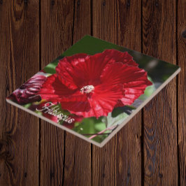 Rood moeras Hibiscus Bloom Floral Tegeltje