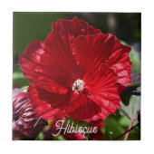 Rood moeras Hibiscus Bloom Floral Tegeltje (Voorkant)