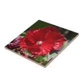 Rood moeras Hibiscus Bloom Floral Tegeltje (Zijkant)