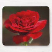 Rood Muismat (Voorkant)