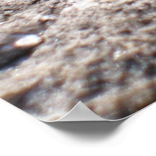 Rood-n-wit Poster (Hoek)