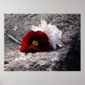 Rood-n-wit Poster (Voorkant)