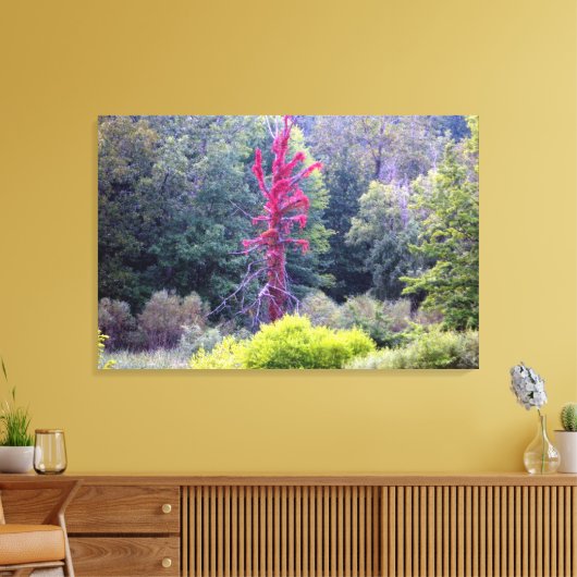 Rood - Natuur Scène (omcirkelde canvasafdruk) Canvas Afdruk (Insitu (Woonkamer))