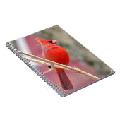 Rood Notitieboek van de Kardinaal (Rechterzijde)