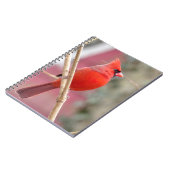 Rood Notitieboek van de Kardinaal (Linkerzijde)