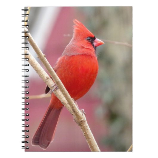 Rood Notitieboek van de Kardinaal (Voorkant)