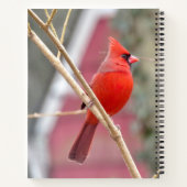 Rood Notitieboek van de Kardinaal (Achterkant)
