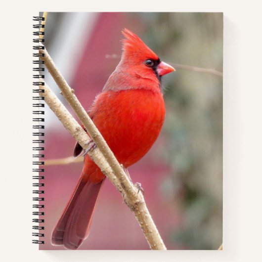 Rood Notitieboek van de Kardinaal (Voorkant)