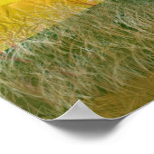Rood of groen Poster voor afboeking van trekkers (Hoek)