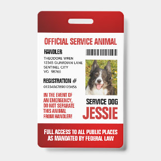 Rood Officiële Dienst Dier Aangepaste Foto ID Badge