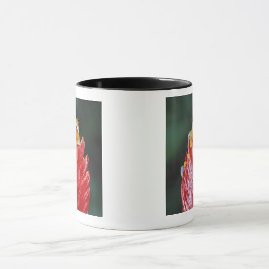 Rood-ogen boomkikker op leder mok (Midden)