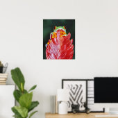 Rood-ogen boomkikker op leder poster (Thuiskantoor)