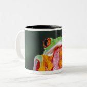 Rood-ogen boomkikker op leder tweekleurige koffiemok (Voorkant links)