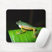 Rood-ogen kikkervisfoto-Muismat Muismat (Met muis)