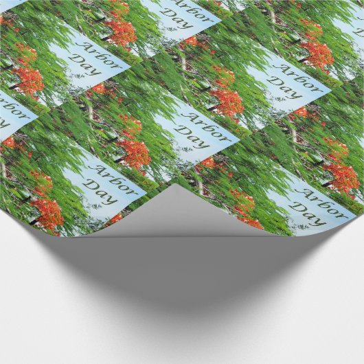 Rood omlooppapier voor de havendag cadeaupapier (Hoek)