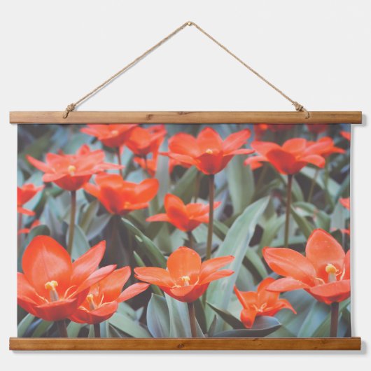 Rood ompveld hangend wandkleed (Voorkant)