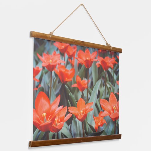 Rood ompveld hangend wandkleed (Gebogen)