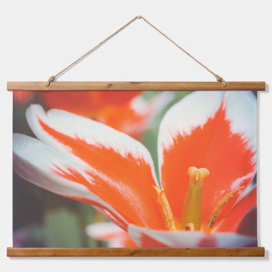 Rood ompveld hangend wandkleed (Voorkant 2)