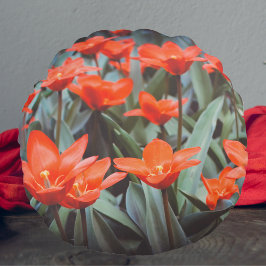 Rood ompveld rond kussen