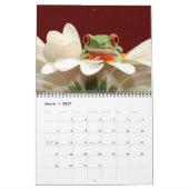 Rood oogboomkikker, kikkers 2011 kalender (Mar 2027)