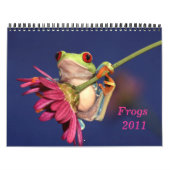 Rood oogboomkikker, kikkers 2011 kalender (Hoes)