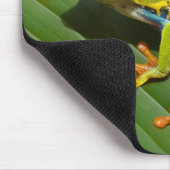 Rood-oogboomkikker Mousepad Muismat (Hoek)