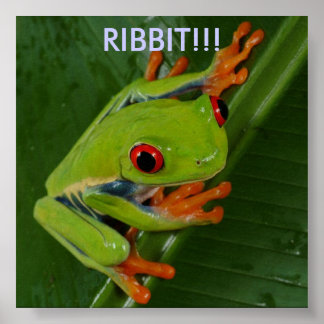 Rood-Oogboomkikker, RIBBIT!! Poster