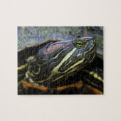 Rood-oorglijder, Trachemys scripta elegans, 2 Legpuzzel (Horizontaal)