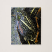 Rood-oorglijder, Trachemys scripta elegans, 2 Legpuzzel (Verticaal)