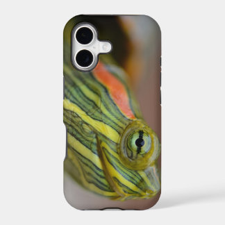 Rood-oorige iPhone schuifschroef