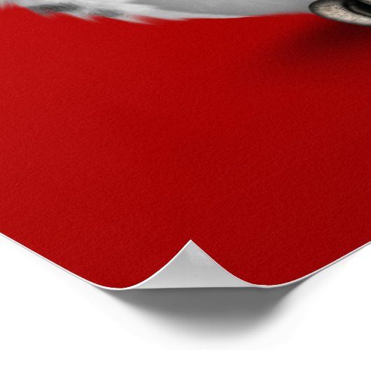 Rood op de rode dag van de dode suikerschedel Rood Poster (Hoek)