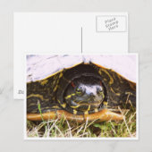 Rood opgerold schuifschroef briefkaart (Voorkant / Achterkant)